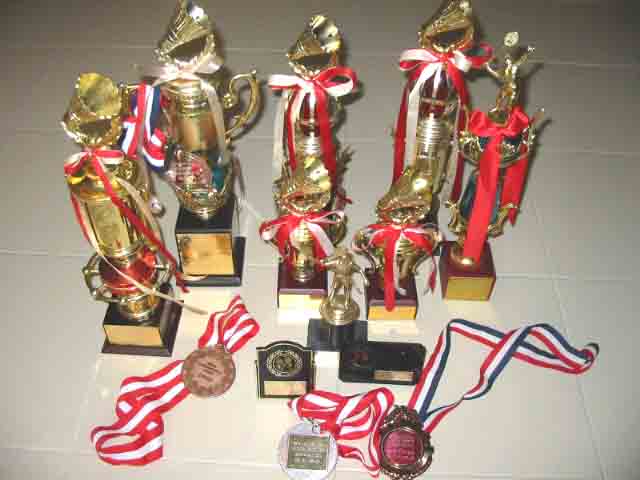 Hard earned badminton trophies!